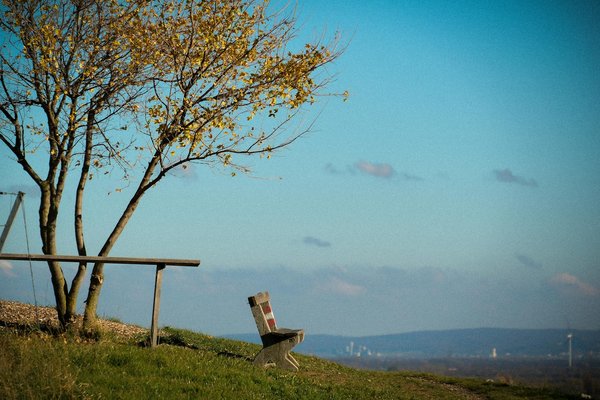 Welche Lebensmittel sollten bei einer DiÃ¤t vermieden werden?